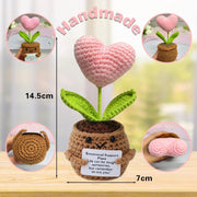 Positive Veggie & Plant Plush